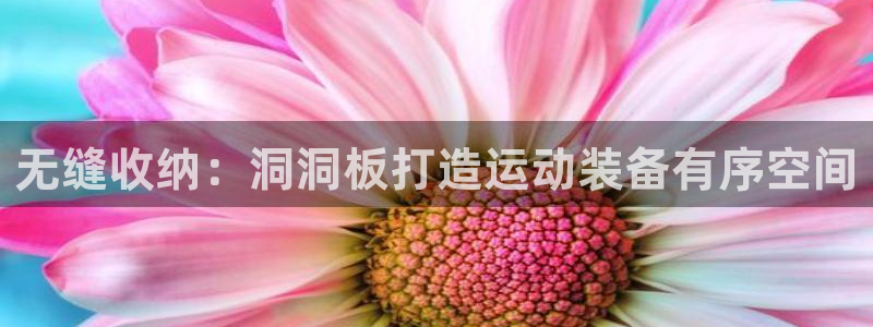 欧陆娱乐平台官网入口：无缝收纳：洞洞板打造运动装备有