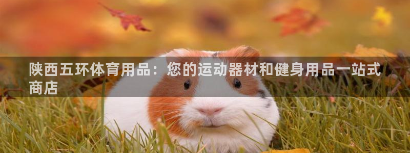 欧陆娱乐注册链接安全吗可靠吗：陕西五环体育用品：您的