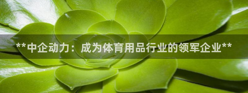 欧陆论坛：**中企动力：成为体育用品行业的领军企业*