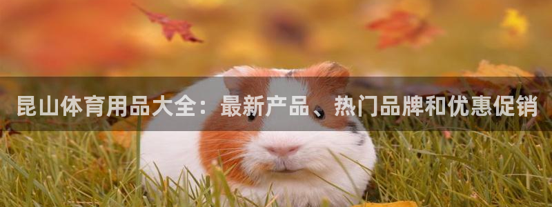 欧陆娱乐挂机项目怎么弄：昆山体育用品大全：最新产品、