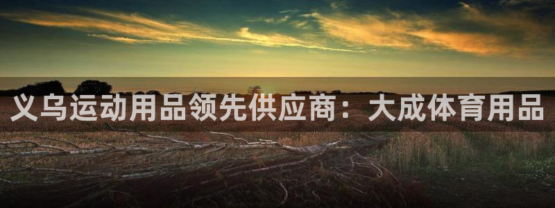 欧陆娱乐注册链接怎么弄：义乌运动用品领先供应商：大成