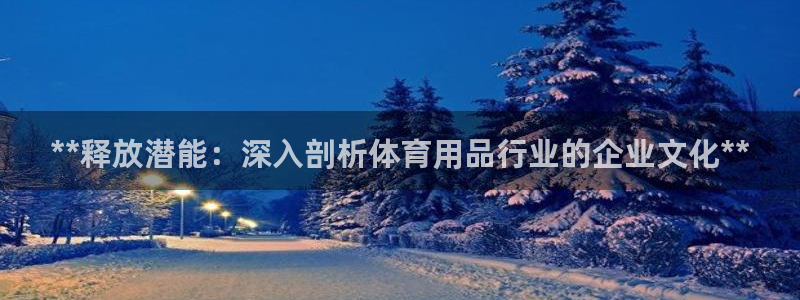 欧陆娱乐简介：**释放潜能：深入剖析体育用品行业的企