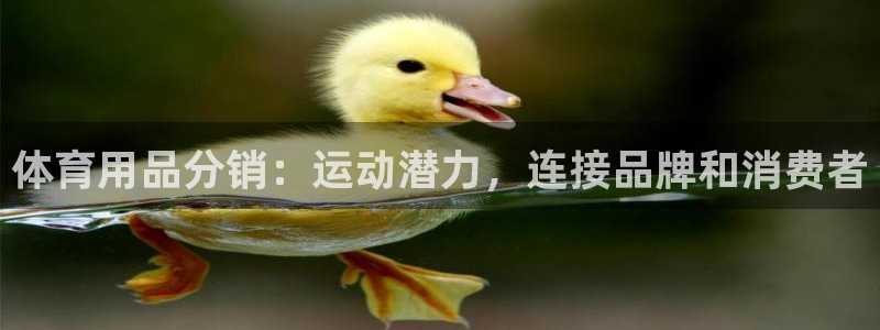 欧陆娱乐注册链接怎么弄：体育用品分销：运动潜力，连接