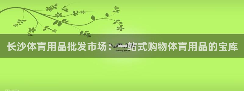 欧陆娱乐计划预测软件有哪些：长沙体育用品批发市场：一站式购物