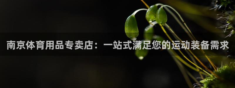 欧陆娱乐官方下载安装：南京体育用品专卖店：一站式满足