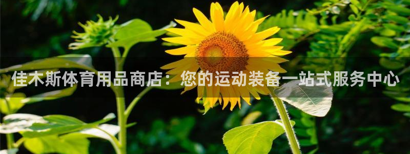 欧陆娱乐百科官网：佳木斯体育用品商店：您的运动装备一