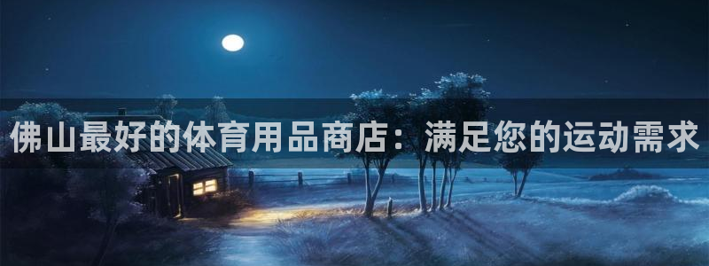 欧陆娱乐注册代理：佛山最好的体育用品商店：满足您的运动需求