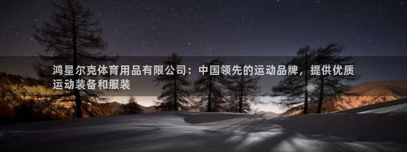欧陆娱乐打什么方案赚钱：鸿星尔克体育用品有限公司：中