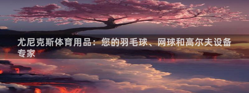 欧陆娱乐注册代理多少钱一个月：尤尼克斯体育用品：您的