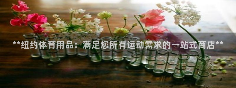 欧陆平台：**纽约体育用品：满足您所有运动需求的一站