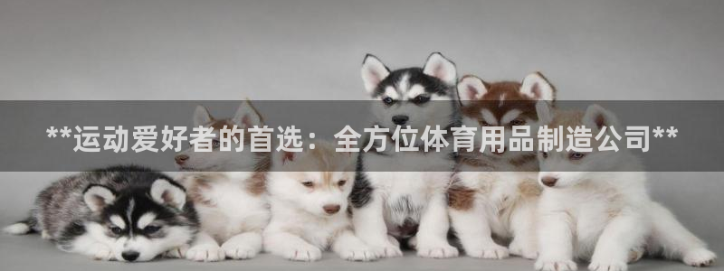 欧陆娱乐是资金盘吗：**运动爱好者的首选：全方位体育