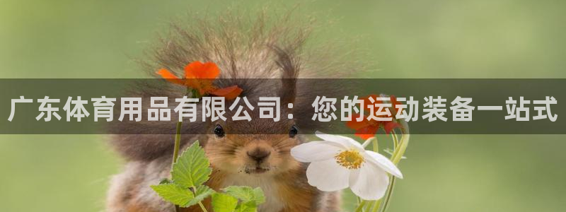 欧陆娱乐官网：广东体育用品有限公司：您的运动装备一站