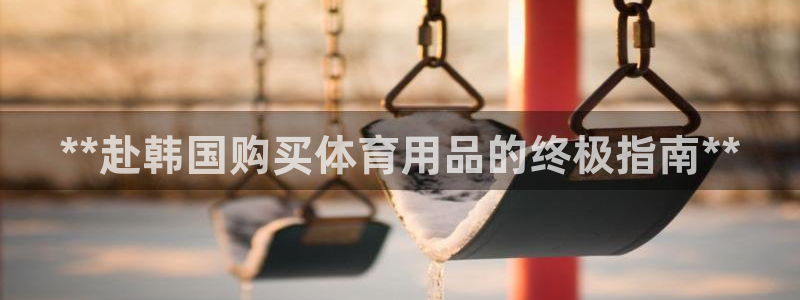 欧陆娱乐挂机怎么玩：**赴韩国购买体育用品的终极指南