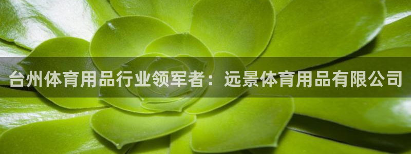 欧陆娱乐客服服务：台州体育用品行业领军者：远景体育用
