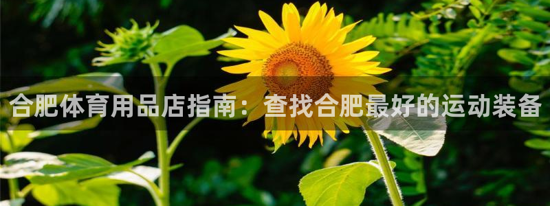 欧陆娱乐合法吗：合肥体育用品店指南：查找合肥最好的运