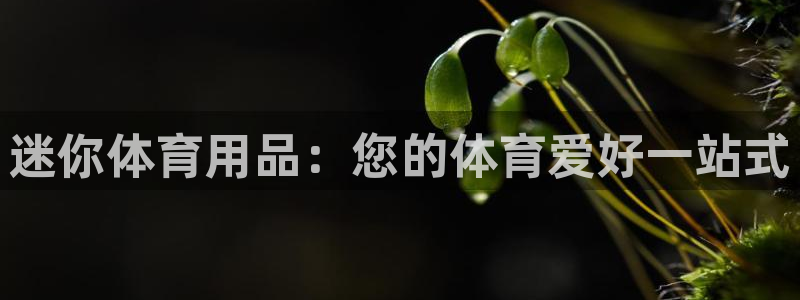 欧陆娱乐有限公司：迷你体育用品：您的体育爱好一站式