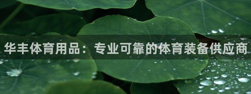 欧陆注册码：华丰体育用品：专业可靠的体育装备供应商