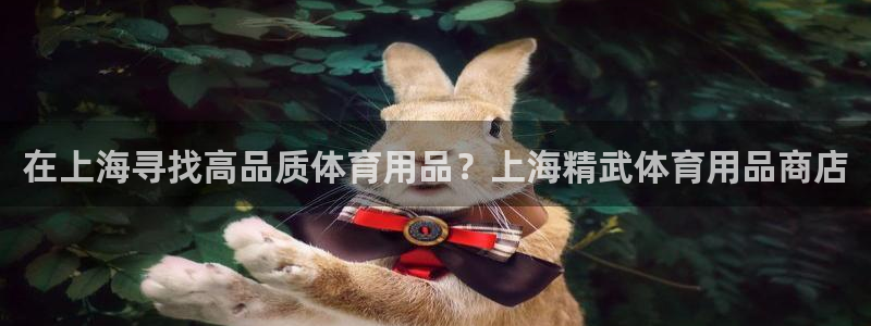 欧陆娱乐天富主管：在上海寻找高品质体育用品？上海精武