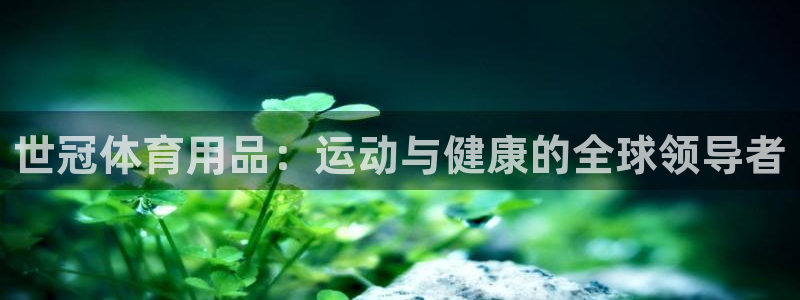欧陆娱乐平台咋样赚钱的：世冠体育用品：运动与健康的全
