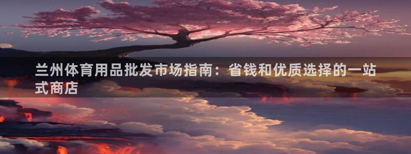 欧陆娱乐平台登录不上去：兰州体育用品批发市场指南：省钱和优质