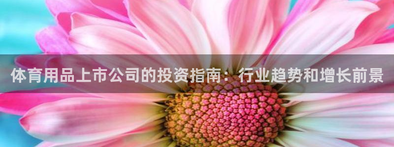 欧陆论坛：体育用品上市公司的投资指南：行业趋势和增长前景