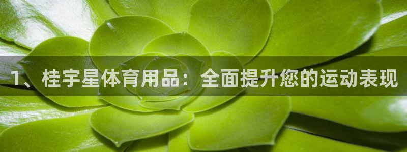 欧陆娱乐有限公司招聘：1、桂宇星体育用品：全面提升您