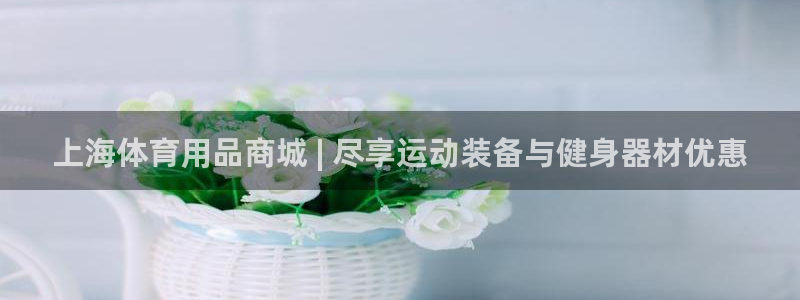 欧陆娱乐平台咋样赚钱的：上海体育用品商城 | 尽享运