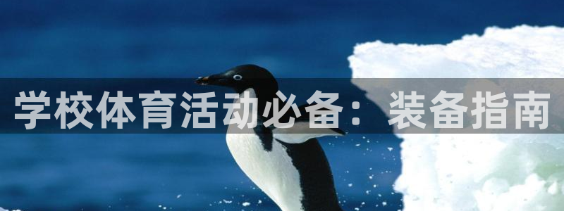 欧陆娱乐百科：学校体育活动必备：装备指南