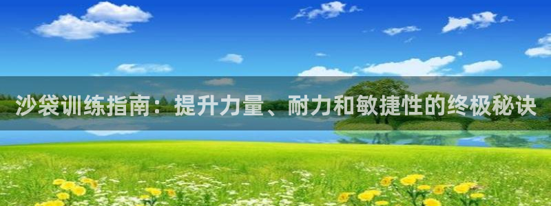 欧陆娱乐提现多久到账：沙袋训练指南：提升力量、耐力和