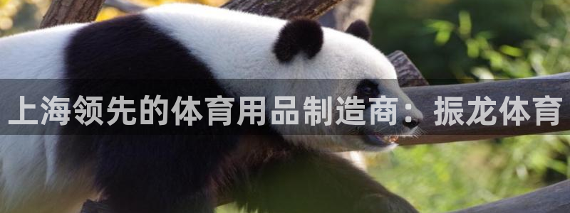 欧陆娱乐挂机怎么玩游戏：上海领先的体育用品制造商：振
