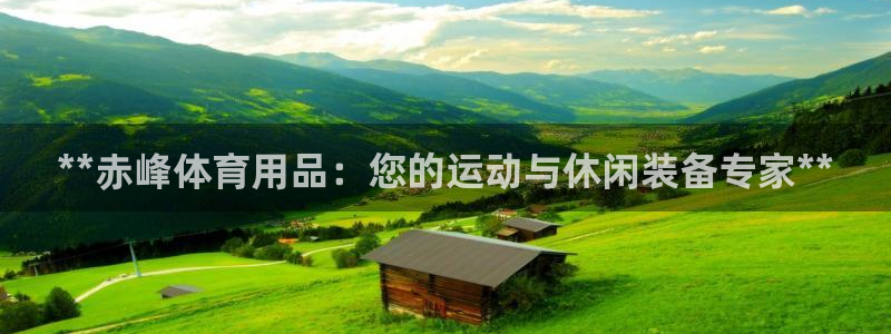欧陆娱乐平台登录不上去怎么办：**赤峰体育用品：您的