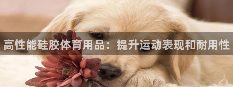 欧陆娱乐脚本下载：高性能硅胶体育用品：提升运动表现和