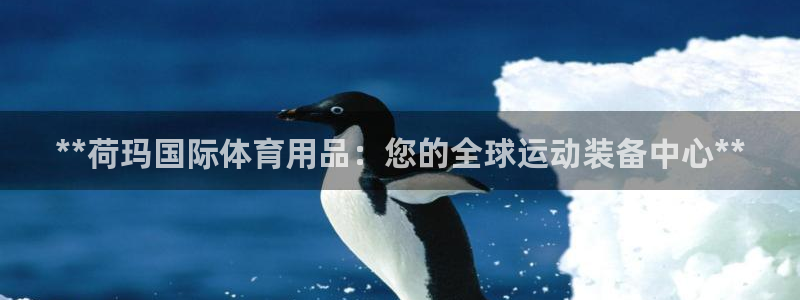 欧陆娱乐信誉如何：**荷玛国际体育用品：您的全球运动