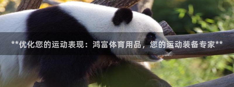 欧陆娱乐：**优化您的运动表现：鸿富体育用品，您的运