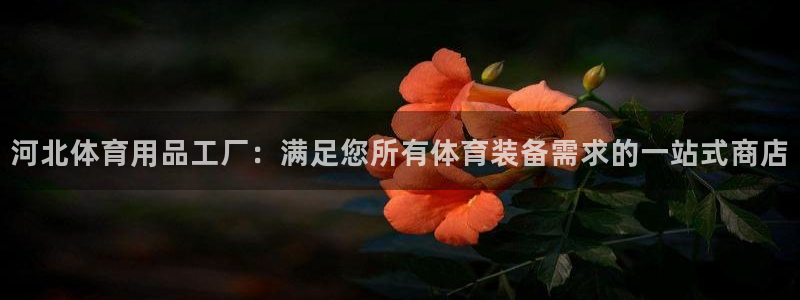 欧陆娱乐百科官网：河北体育用品工厂：满足您所有体育装