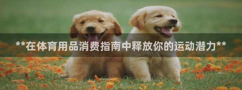欧陆娱乐注册代理多少钱啊：**在体育用品消费指南中释