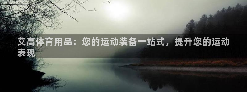 欧陆娱乐平台咋样赚钱快：艾高体育用品：您的运动装备一