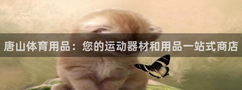 欧陆娱乐平台登录不上去：唐山体育用品：您的运动器材和