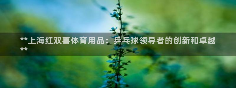 欧陆注册登录入口：**上海红双喜体育用品：乒乓球领导
