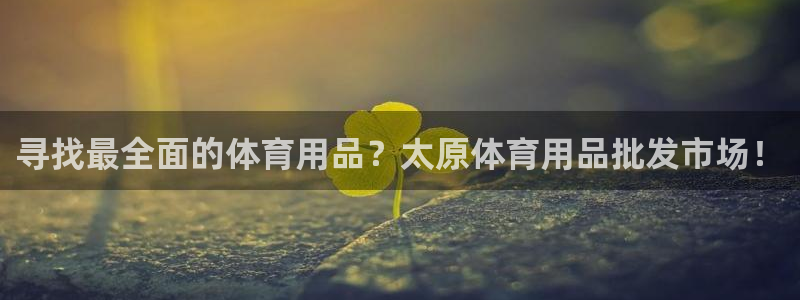 欧陆娱乐登录测速怎么关闭：寻找最全面的体育用品？太原