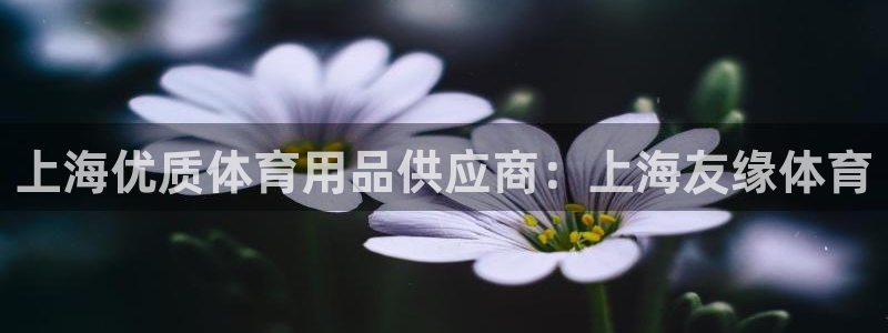 欧陆娱乐合法吗?：上海优质体育用品供应商：上海友缘体