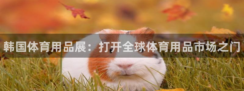欧陆娱乐是真的假的：韩国体育用品展：打开全球体育用品