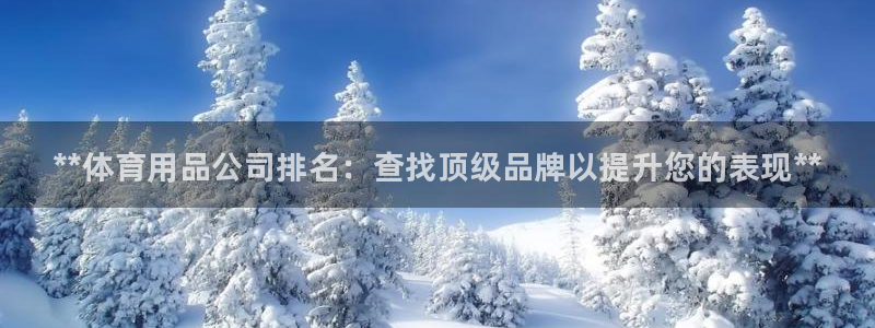 欧陆娱乐是什么：**体育用品公司排名：查找顶级品牌以