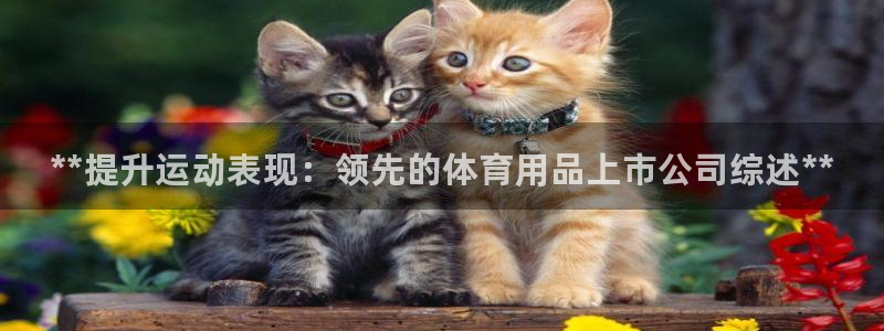 欧陆娱乐怎么注册会员账号啊：**提升运动表现：领先的体育用品