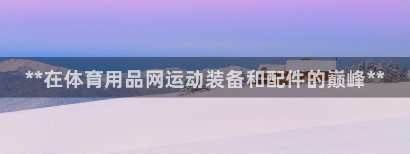 欧陆娱乐游戏：**在体育用品网运动装备和配件的巅峰**