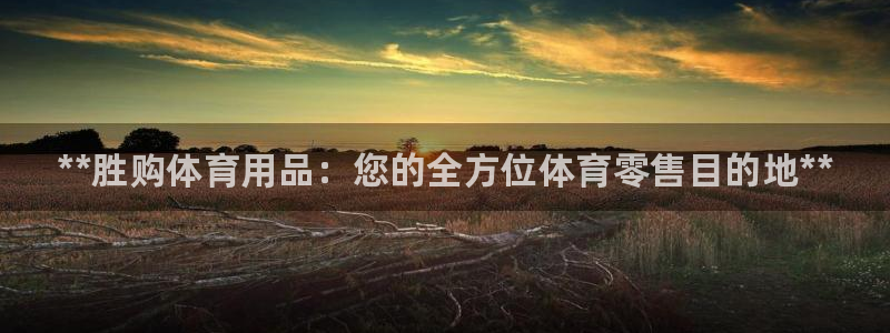 欧陆娱乐会员多少钱：**胜购体育用品：您的全方位体育