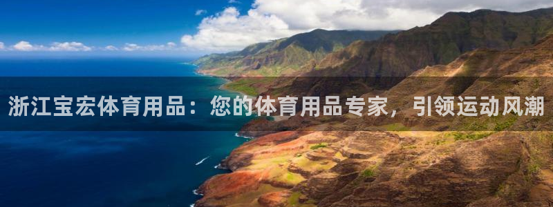 欧陆娱乐app打不开怎么回事：浙江宝宏体育用品：您的