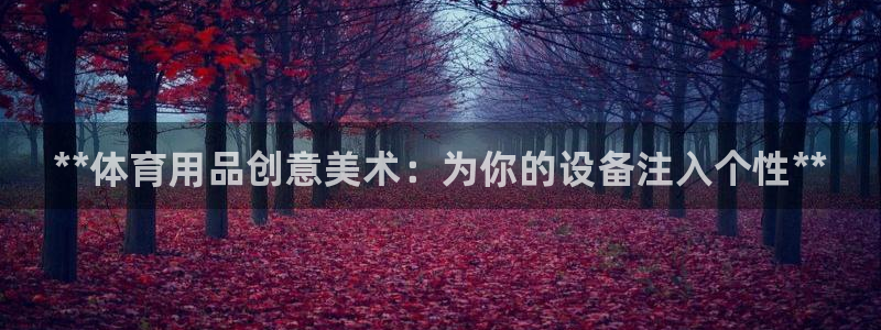 欧陆娱乐官方网站入口：**体育用品创意美术：为你的设