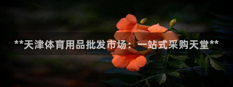 欧陆娱乐代理 贴吧：**天津体育用品批发市场：一站式