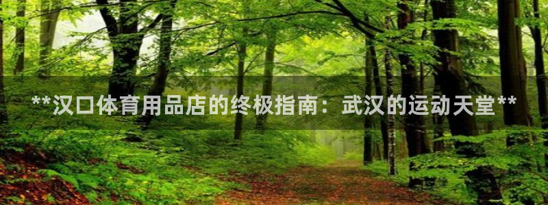 欧陆娱乐官网首页入口：**汉口体育用品店的终极指南：